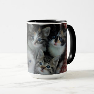 Taza Gatitos en una cesta