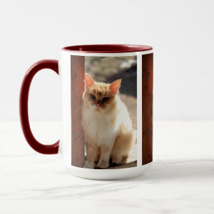 Taza Gato