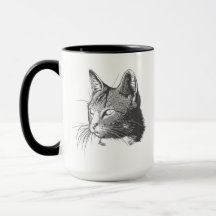Gato