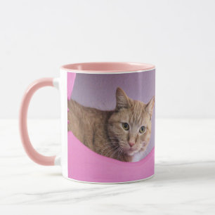 Taza Gato