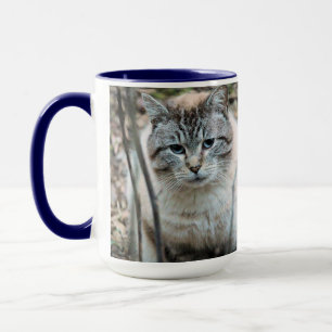 Taza Gato