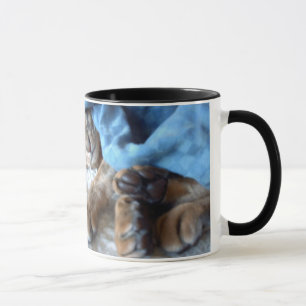 Taza Gato abisano durmiendo