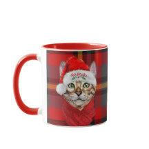 Gato abisino amante de los Navidades rojos