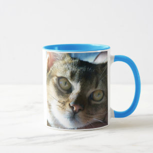Taza Gato abisino azul masculino