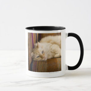 Taza Gato amarillo bonito del tabi que pone en el sofá