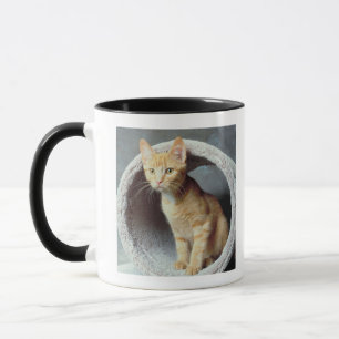 Taza Gato anaranjado en juguete
