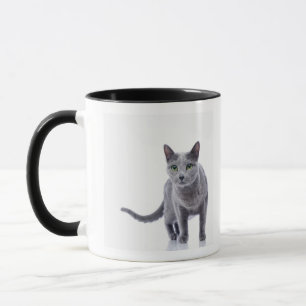 Taza Gato azul ruso
