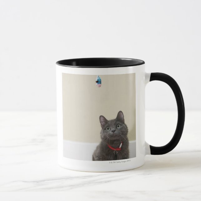 Taza Gato con el juguete (Derecha)
