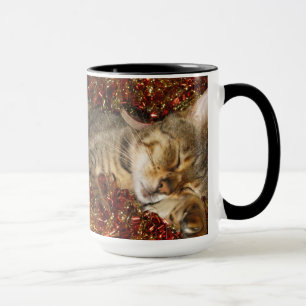 Taza - gato de Bengala
