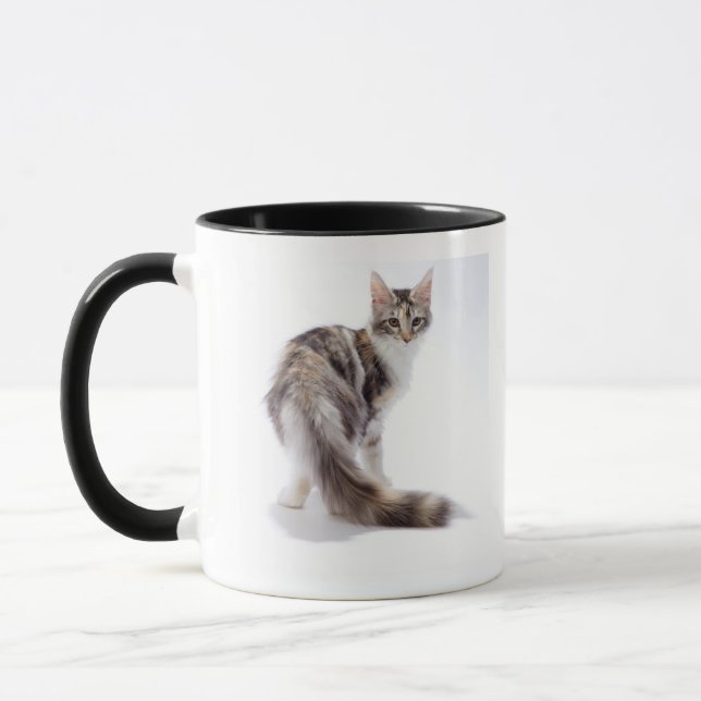 Taza Gato de Coon de Maine (Izquierda)