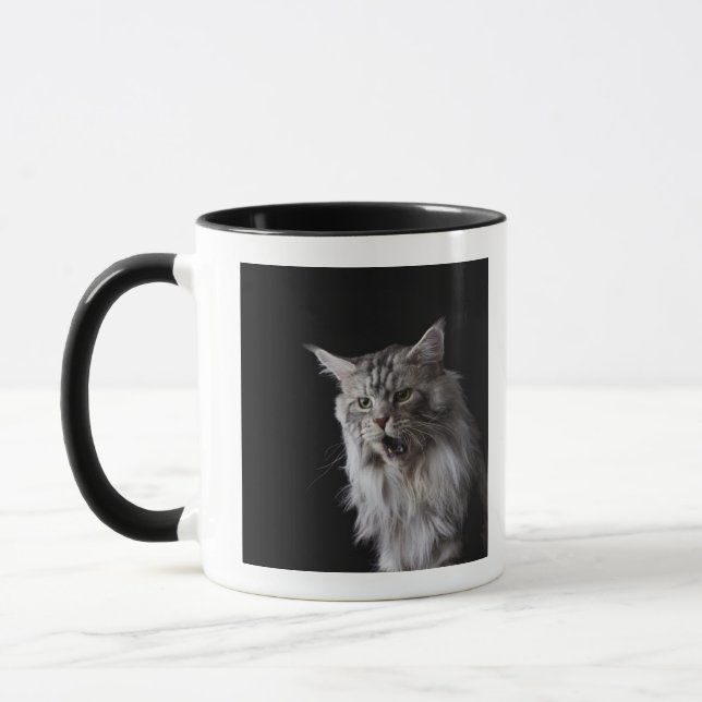 Taza Gato de Coon de Maine 2 (Izquierda)