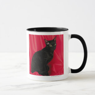 Taza Gato de Cornualles del rex