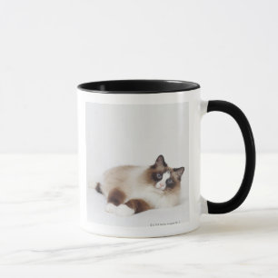 Taza Gato de descanso
