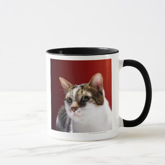 Taza Gato de la Isla de Man (Derecha)