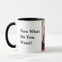 Gato de oficina gruñón leyendo el periódico