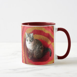 Taza Gato de Perla en Afgano