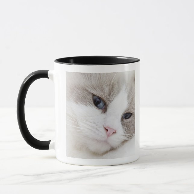 Taza Gato de Ragdoll (Izquierda)