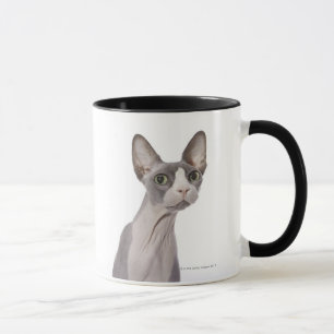 Taza Gato de Sphynx con la expresión sorprendida