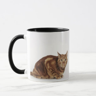 Taza Gato de Tabby anaranjado