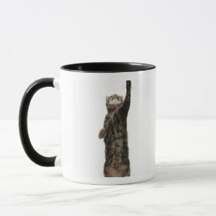 Taza Gato de tabby nacional que se coloca en alcanzar