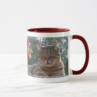 Taza Gato de tigre Pandelie