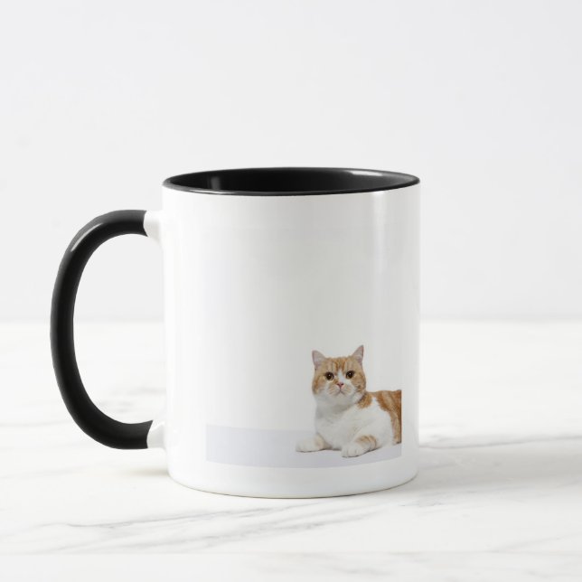 Taza Gato del doblez del escocés (Izquierda)