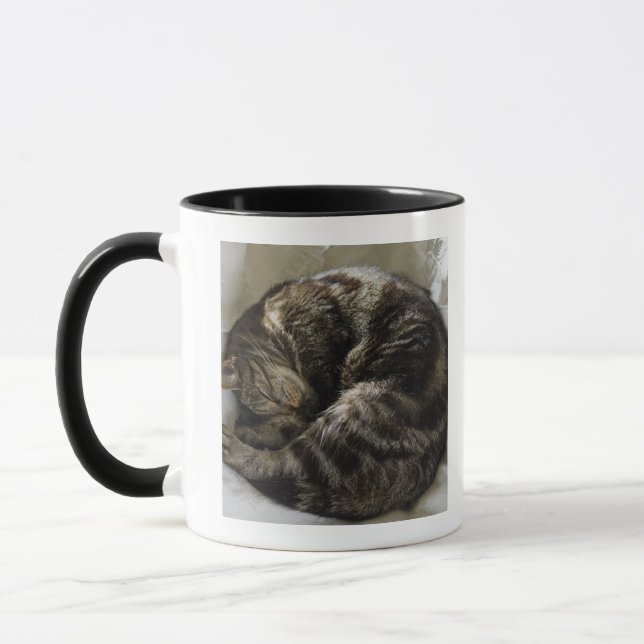 Taza Gato el dormir (Izquierda)