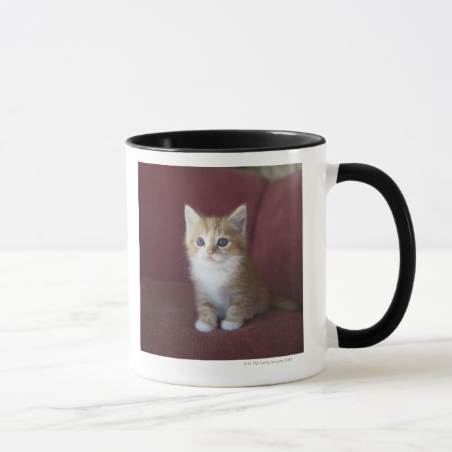 Taza Gato en el sofá (Derecha)