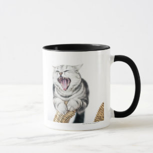 Taza gato gris en el fondo blanco