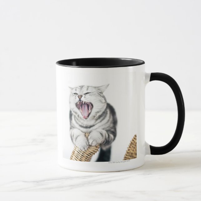 Taza gato gris en el fondo blanco (Derecha)