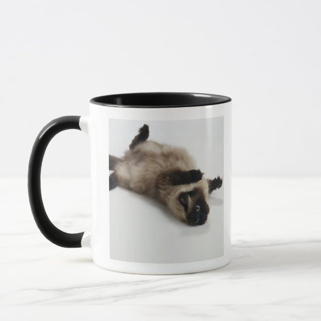 Taza Gato Himalayan que miente en el suyo detrás (Izquierda)