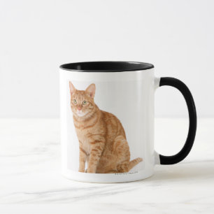 Taza Gato japonés