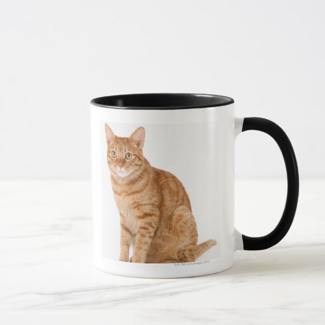 Taza Gato japonés (Derecha)