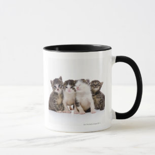 Taza Gato japonés