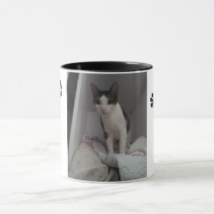 Taza gato lindo