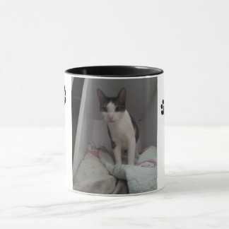 Taza gato lindo