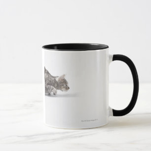 Taza Gato listo para saltar