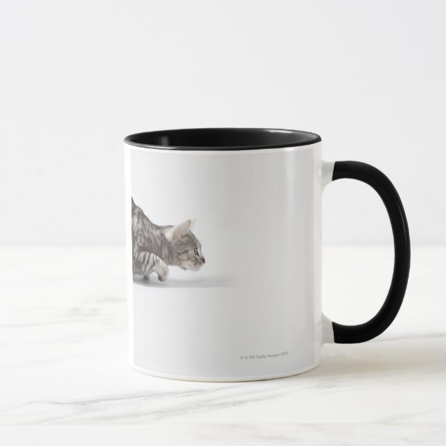 Taza Gato listo para saltar (Derecha)