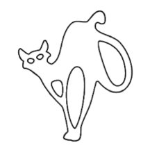 Gato místico una expresión audaz de elegancia