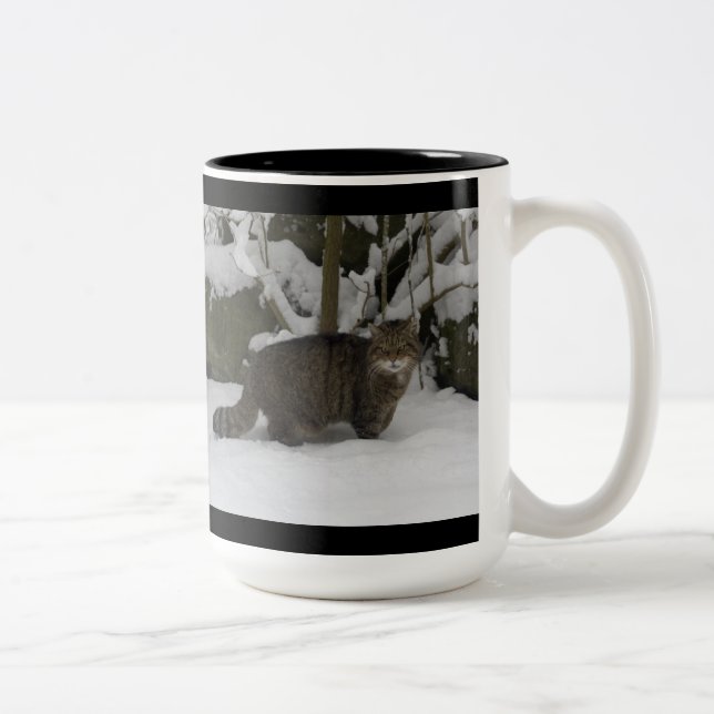 Taza - gato montés escocés (Derecha)
