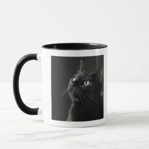 Taza Gato negro contra el fondo negro, primer