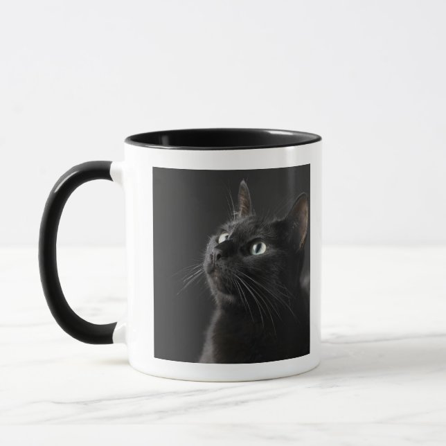 Taza Gato negro contra el fondo negro, primer (Izquierda)