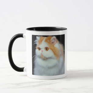 Taza Gato observado y lindo del naranja