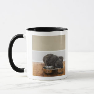 Taza Gato que come del cuenco