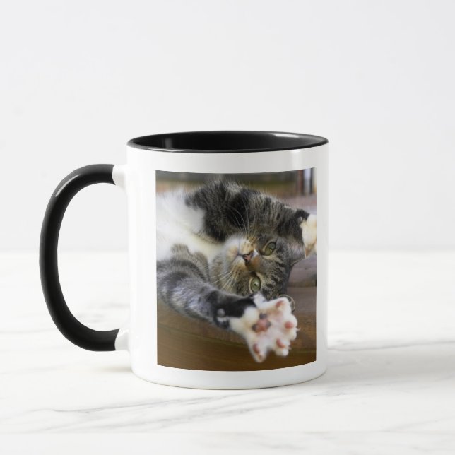 Taza Gato que estira, dentro (Izquierda)