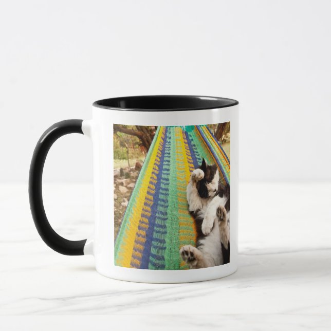 Taza Gato que miente en hamaca mexicana maya (Izquierda)