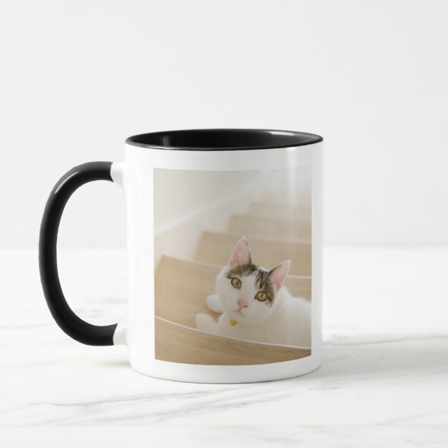 Taza Gato que miente en las escaleras (Izquierda)
