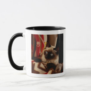 Taza Gato que mira a escondidas a través del edredón