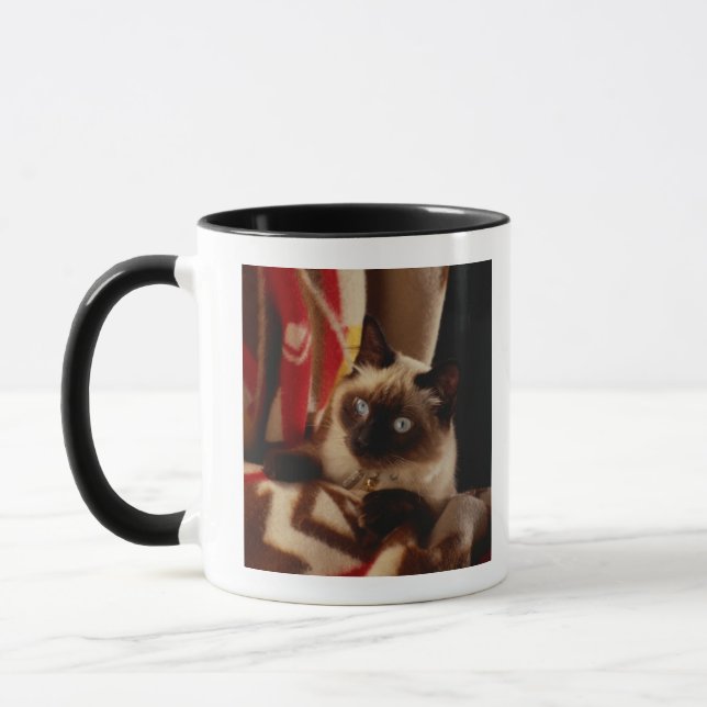 Taza Gato que mira a escondidas a través del edredón (Izquierda)