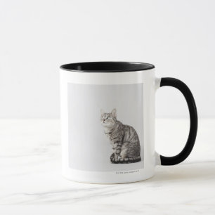 Taza Gato que mira para arriba